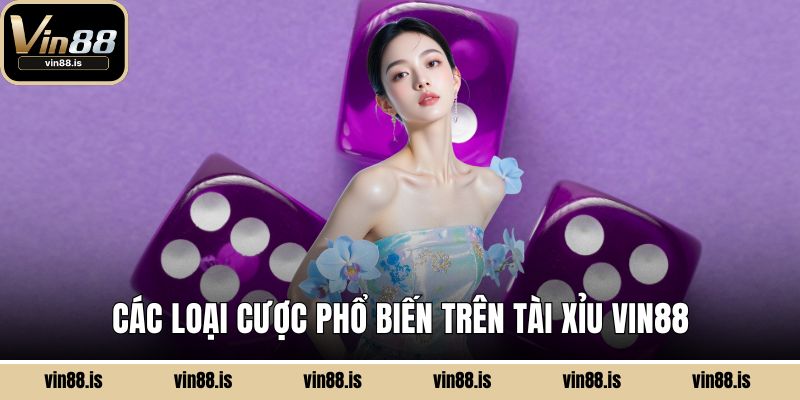 Tài Xỉu Vin88 - Giải Trí Nhanh, Lợi Nhuận Thật 2 Các loại cược phổ biến trên tài xỉu Vin88