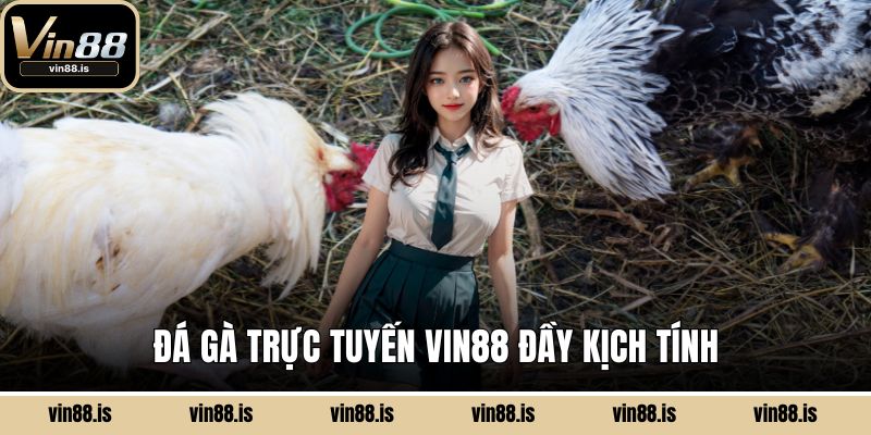 Đá gà trực tuyến VIN88 đầy kịch tính