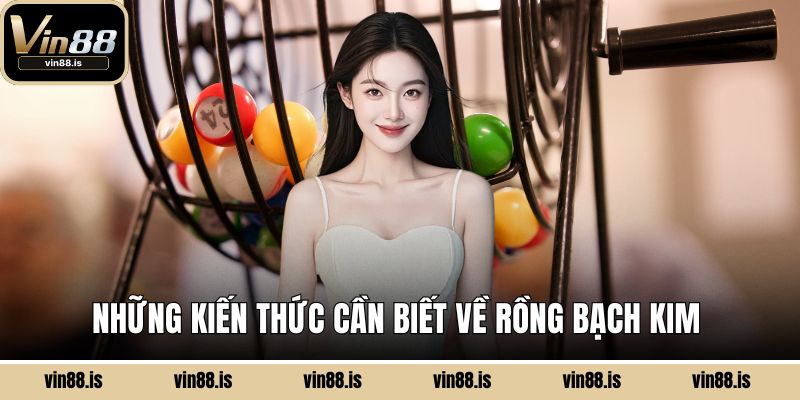 Rồng Bạch Kim – Trợ Thủ Đắc Lực Khi Chơi Lô Đề 1 Những kiến thức cần biết về Rồng Bạch Kim